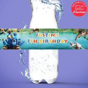 Rio Birthday Water Bottle Label Template to Print at Home Instant Download