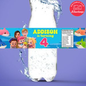 Bebefinn Birthday Water Bottle Label Template to Print at Home Instant Download
