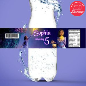 Wish Disney Bottle Label Birthday Water Bottle Label Template to Print at Home Instant Download