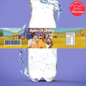 Spirit and friends Bottle Label Birthday Water Bottle Label Template to Print at Home Instant Download