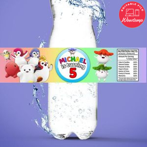 Badanamu Birthday Water Bottle Label Template to Print at Home Instant Download