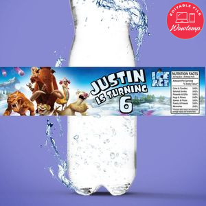 Ice Age Birthday Water Bottle Label Template to Print at Home Instant Download