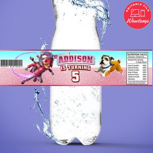 Rocketeer Birthday Water Bottle Label Template to Print at Home Instant Download