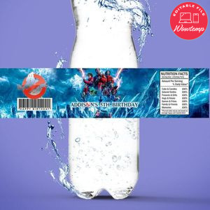 Ghostbusters Frozen Empire Bottle Label Birthday Water Bottle Label Template to Print at Home Instant Download